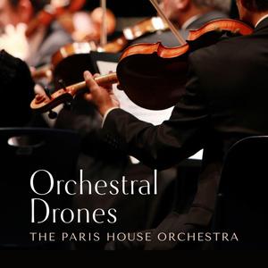 九九久久精品视频
